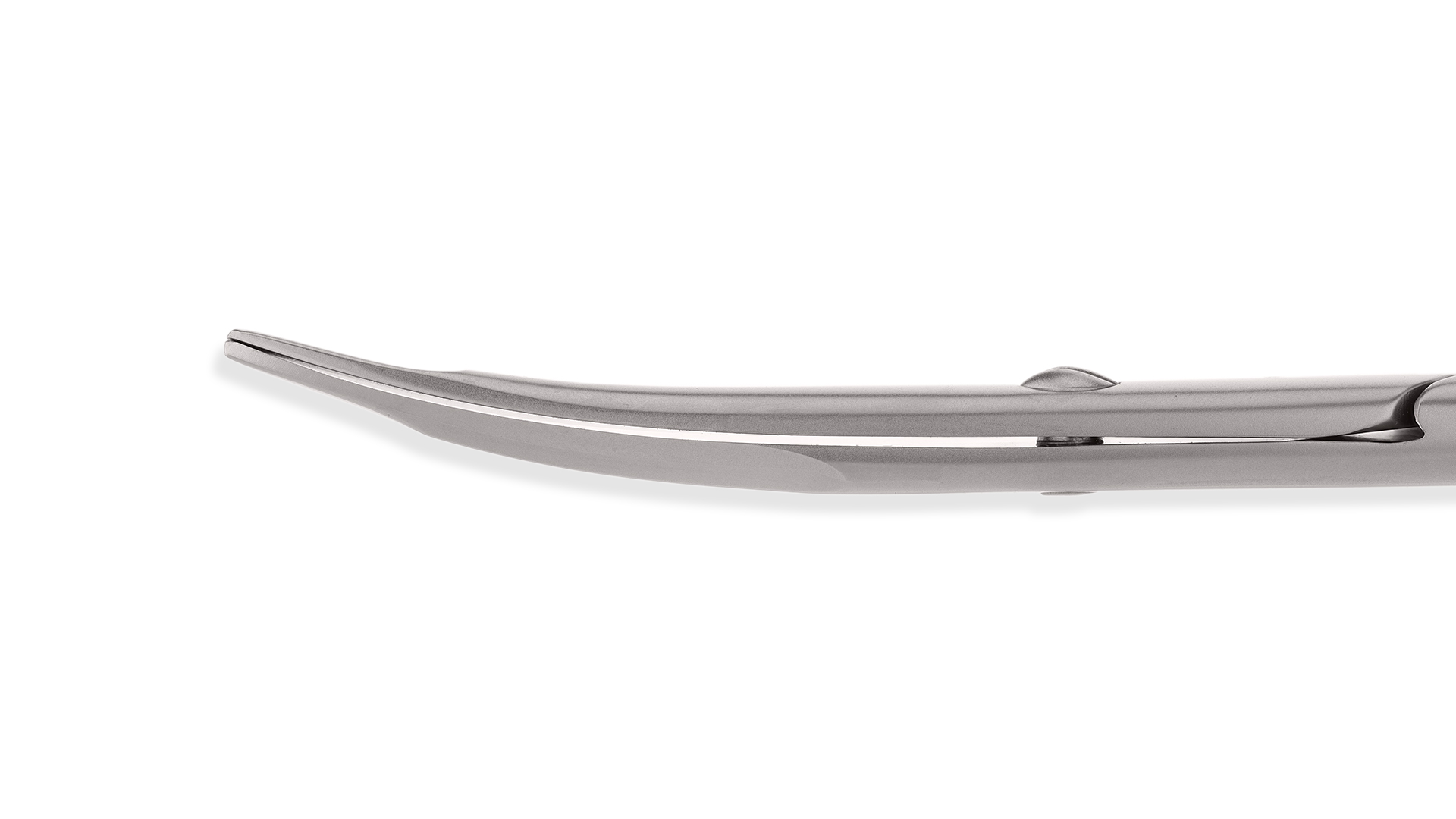 Ragnell Dissecting Scissors alternate view