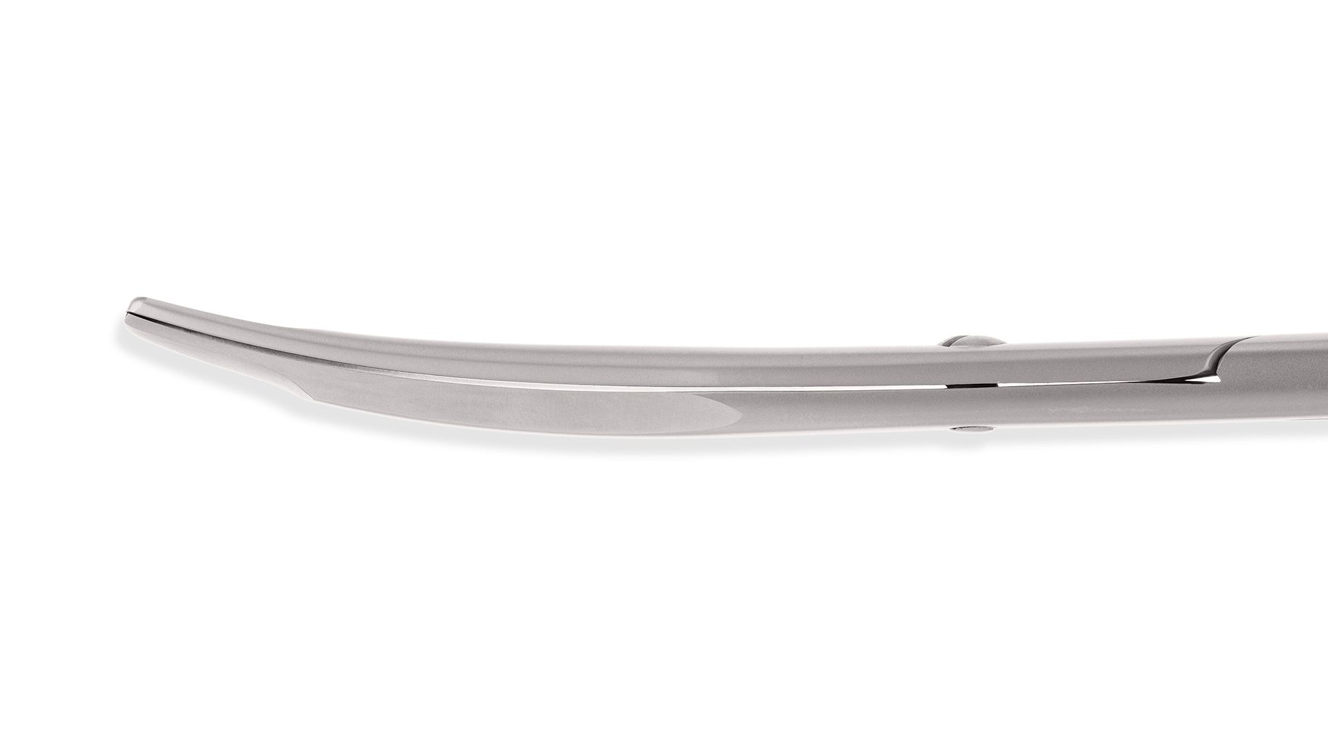 Ragnell Dissecting Scissors alternate view